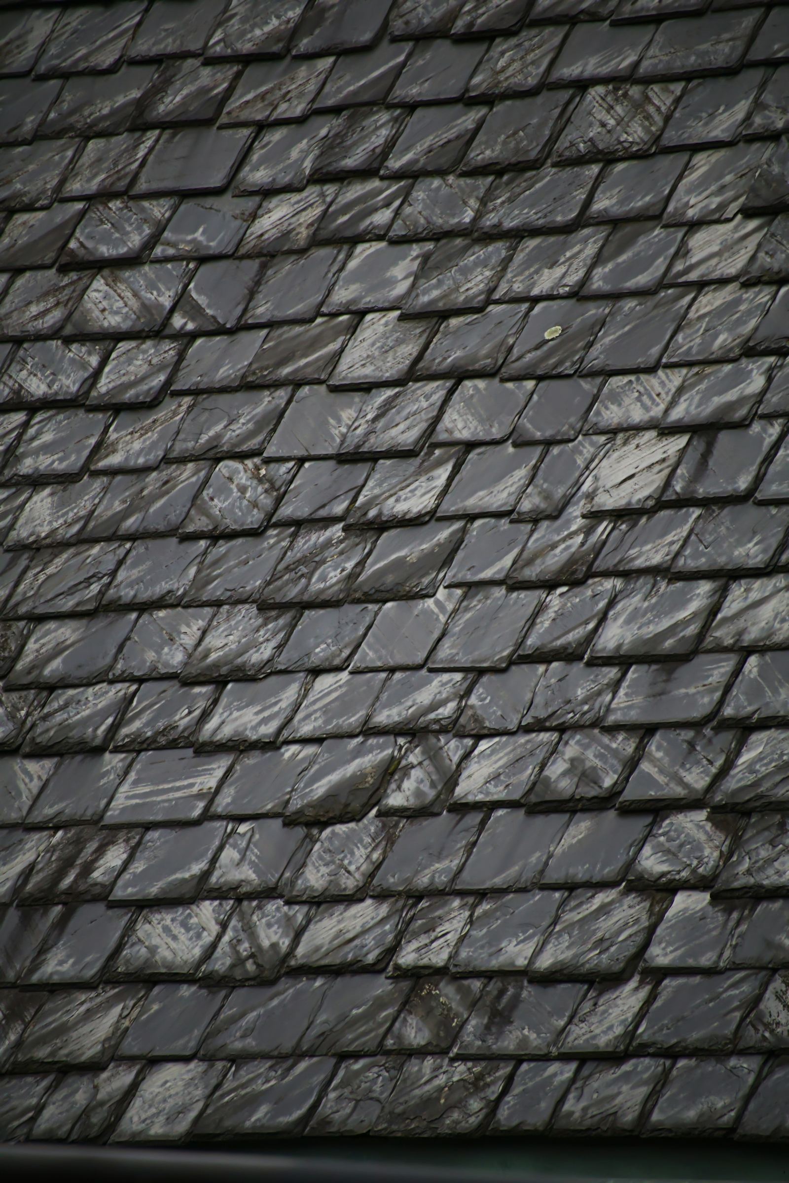 Toiture en ardoise mouillée par la pluie